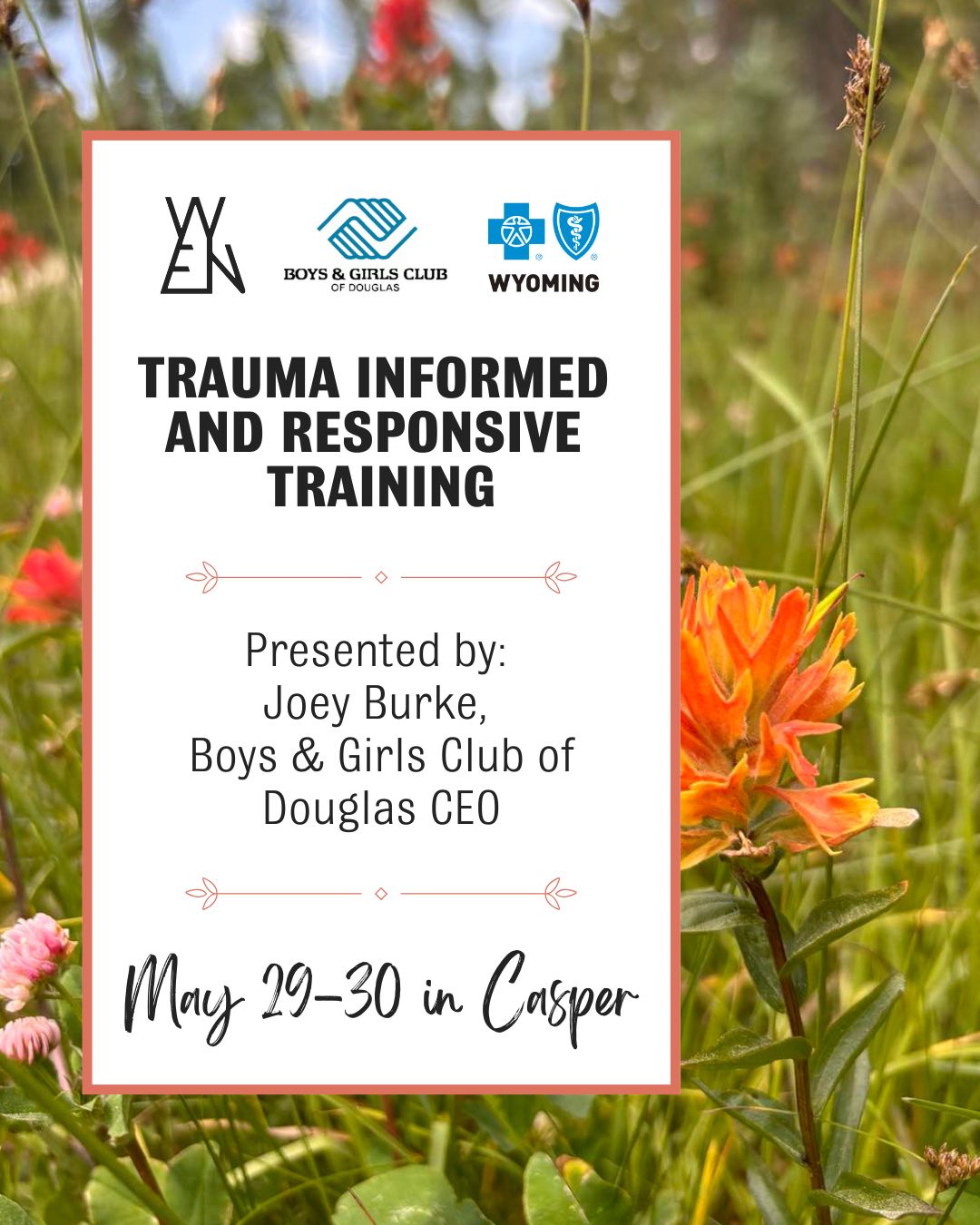 DTG Trauma Informed 5.29.25