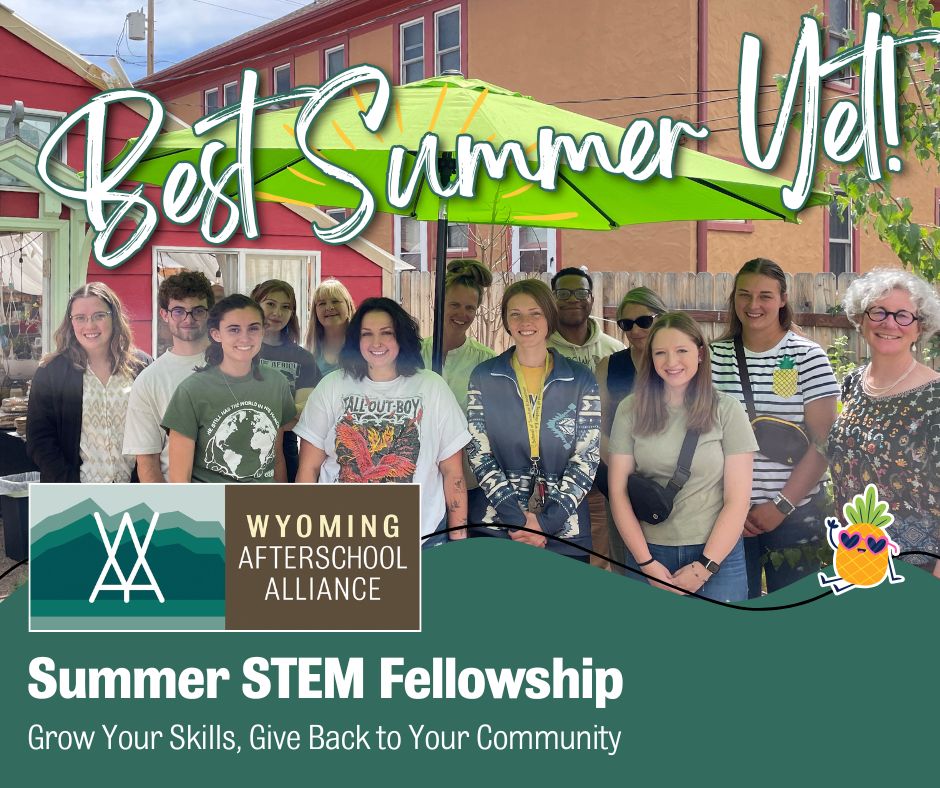 WYAA Summer STEM Fellows Best Yet
